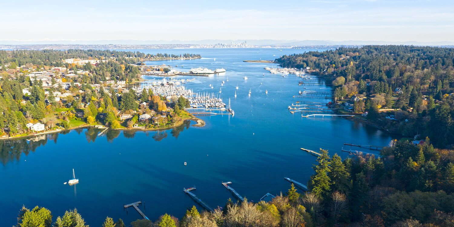 Mystery Picnic Date - Autumn Leaves, Bainbridge