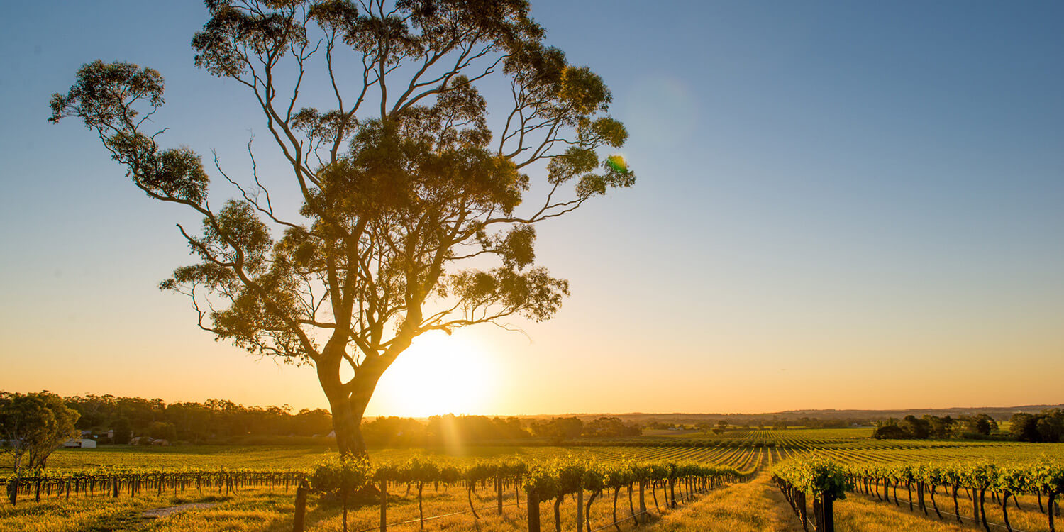 Mystery Weekend - Barossa Valley