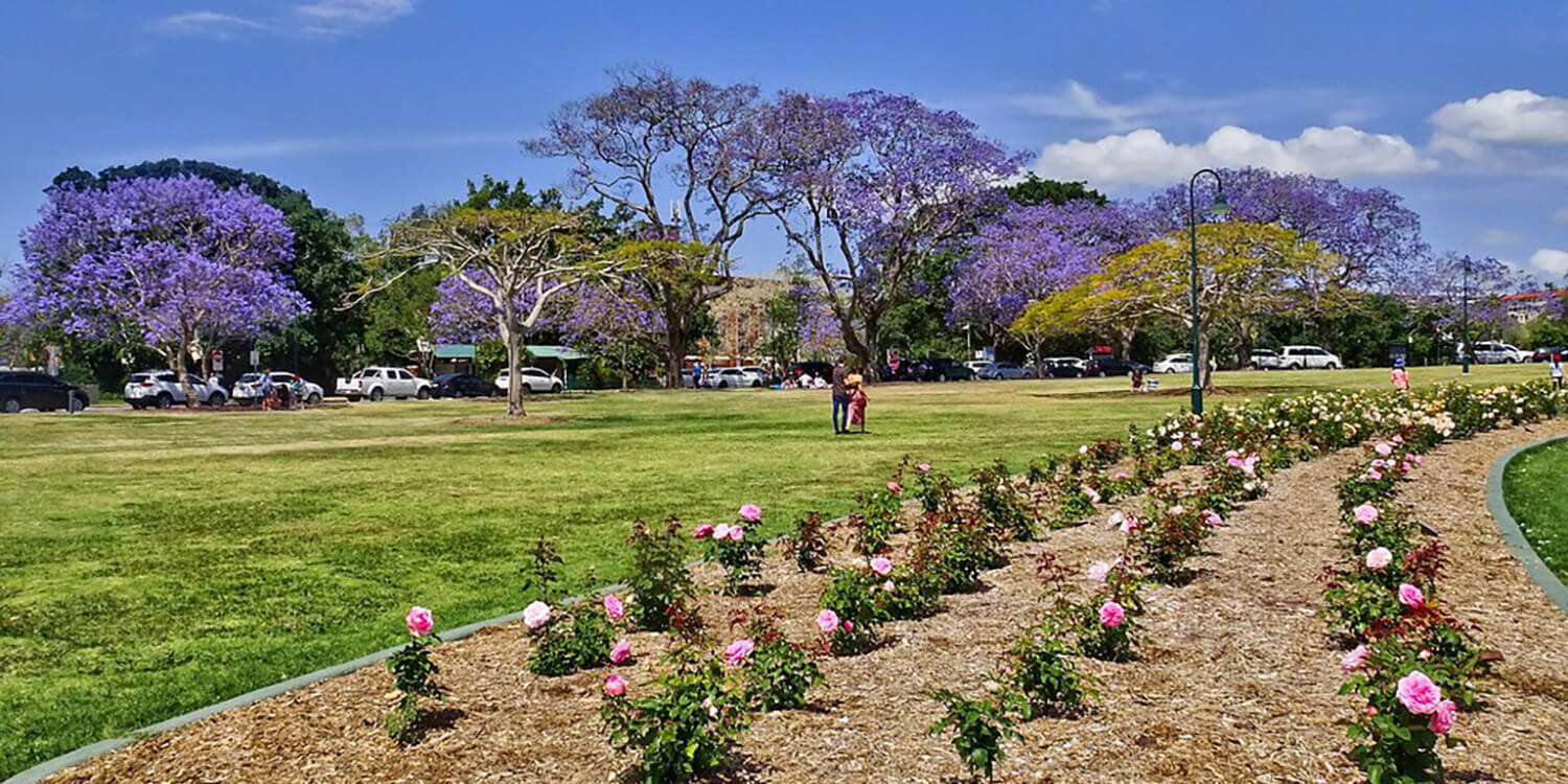 Mystery Picnic Date - New Farm Park