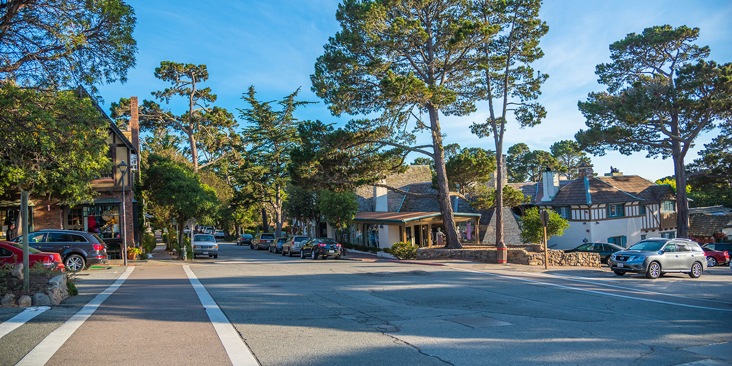 Mystery Picnic With Friends - Carmel-By-The-Sea