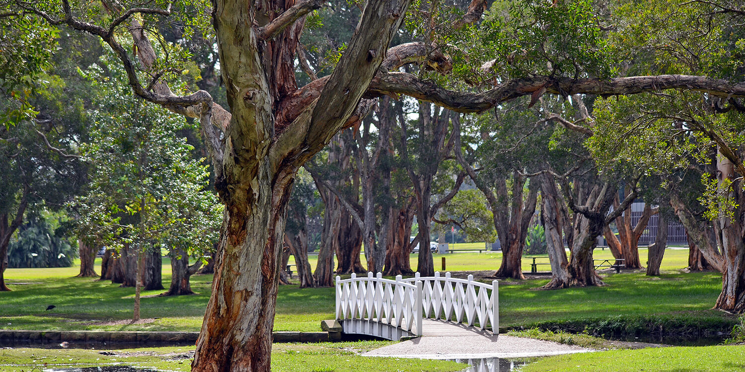 Mystery Picnic With Friends - Centennial Park