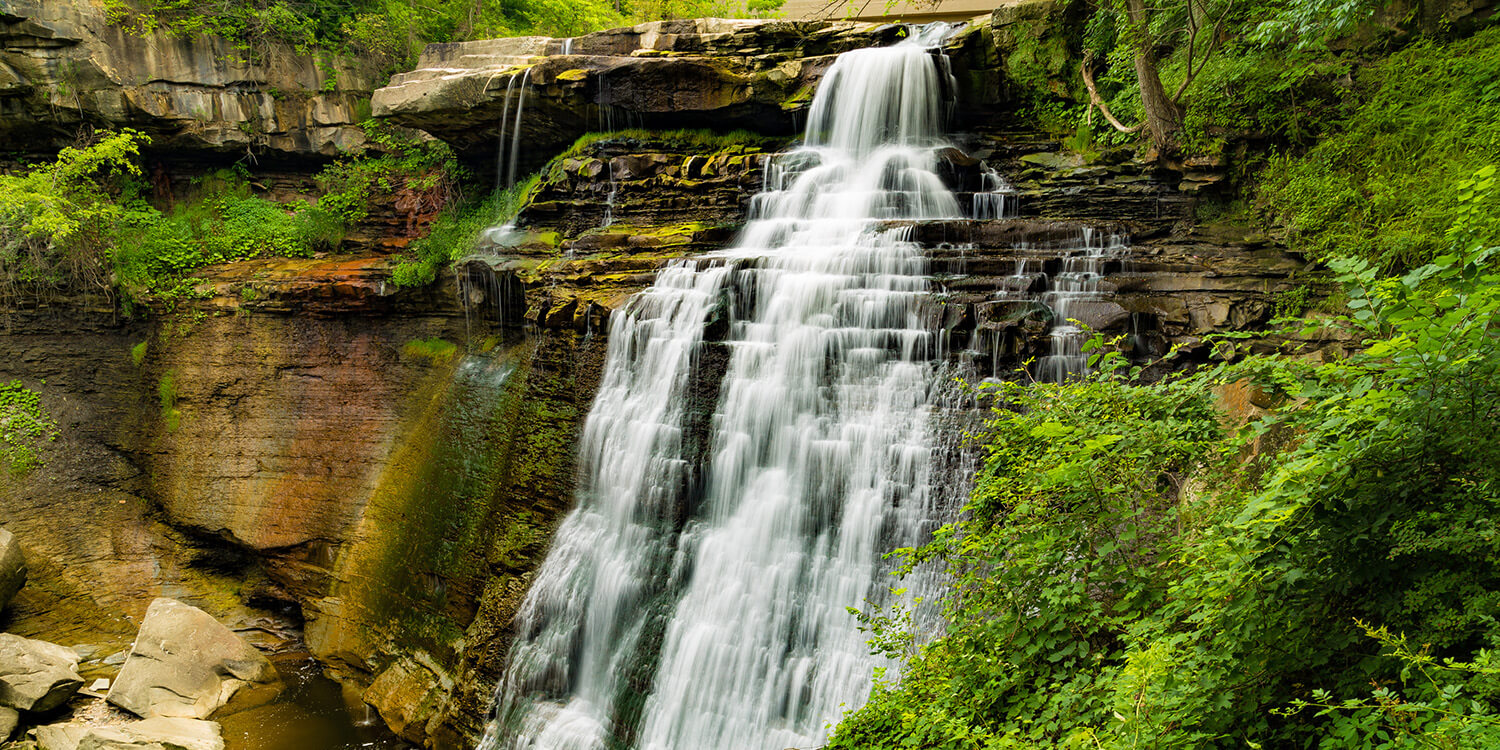 Mystery Picnic With Friends - Cuyahoga Valley