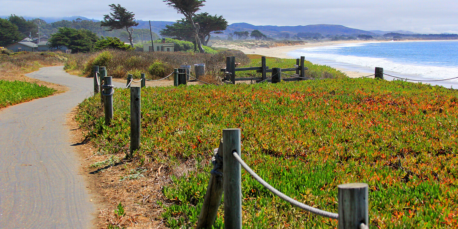 Mystery Picnic Date - Half Moon Bay