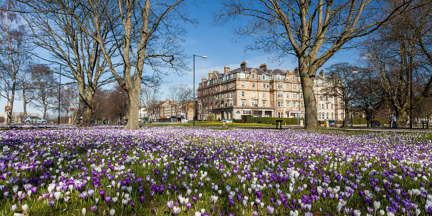 Mystery Picnic With Friends - Harrogate