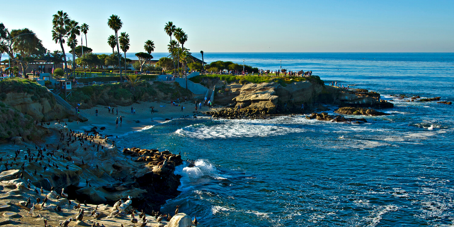 Family Mystery Picnic - La Jolla