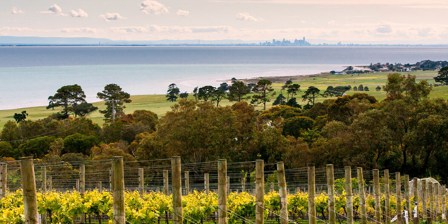 Mystery Picnic With Friends - Bellarine Peninsula