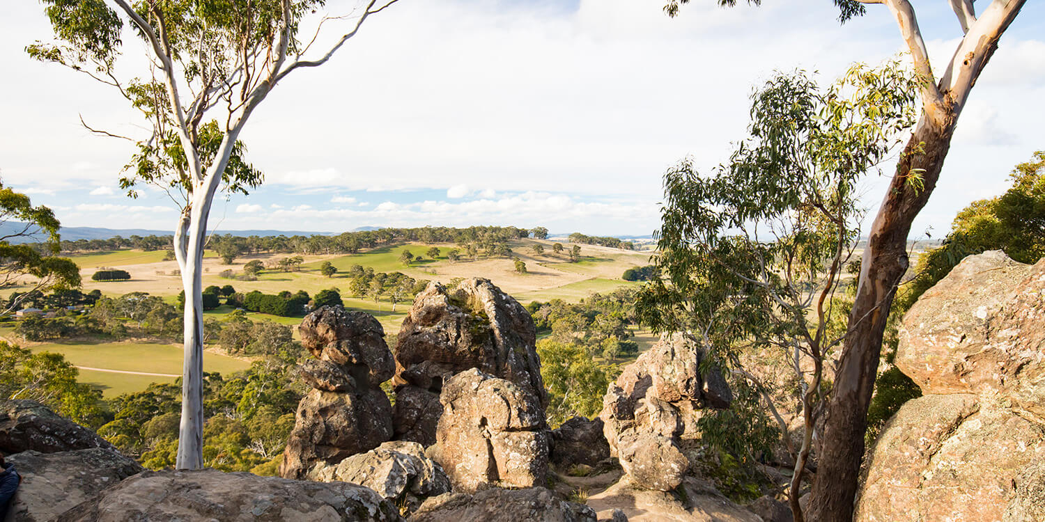 Family Mystery Picnic - Macedon Ranges
