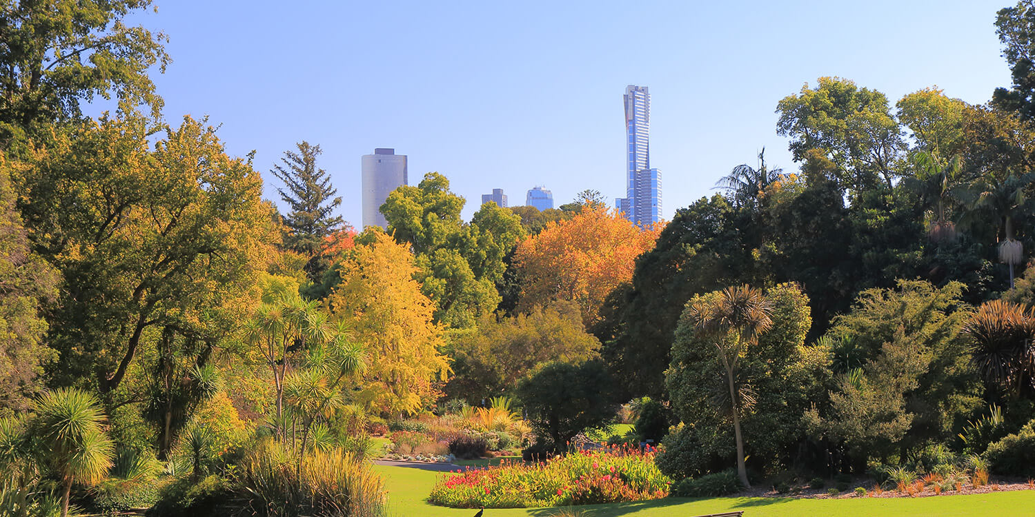 Mystery Picnic With Friends - South Yarra and Botanic Gardens