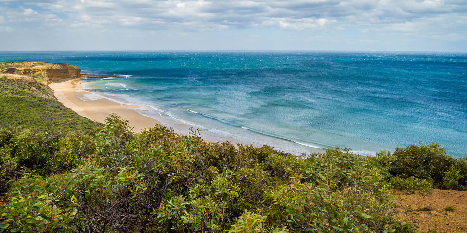 Mystery Picnic With Friends - Torquay