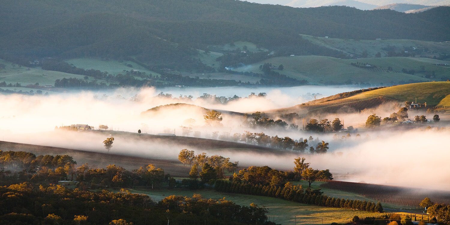 Mystery Picnic With Friends - Yarra Valley