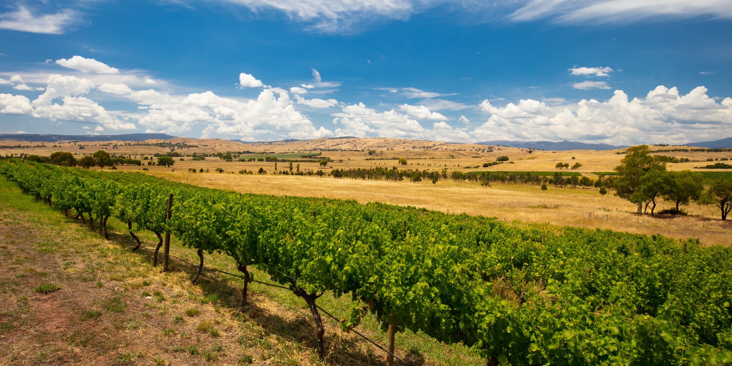 Mystery Picnic Date - Beechworth
