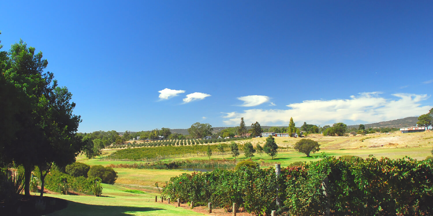 Family Mystery Picnic - Swan Valley
