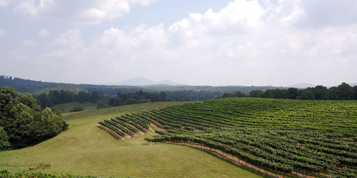 Family Mystery Picnic - Dahlonega