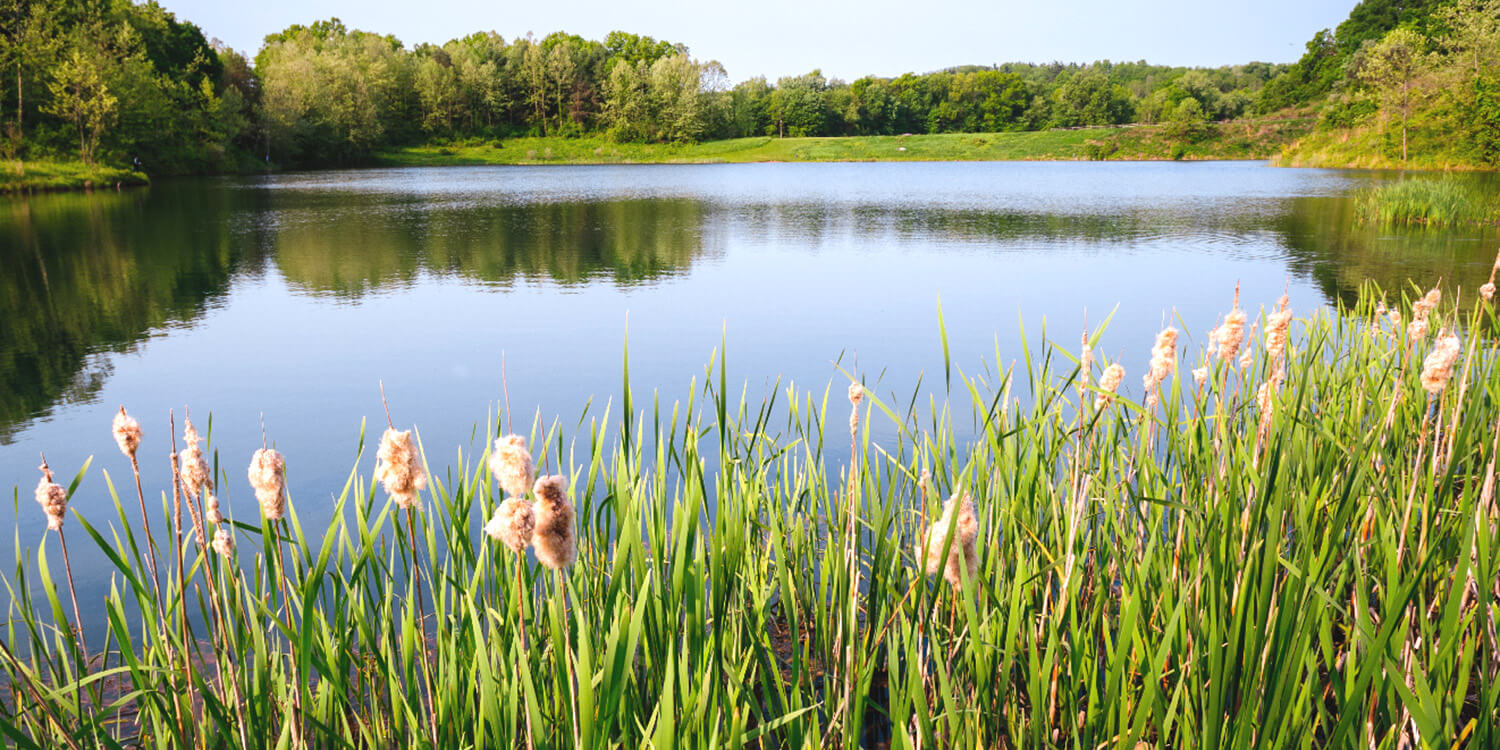 Mystery Picnic With Friends - Cuyahoga Valley