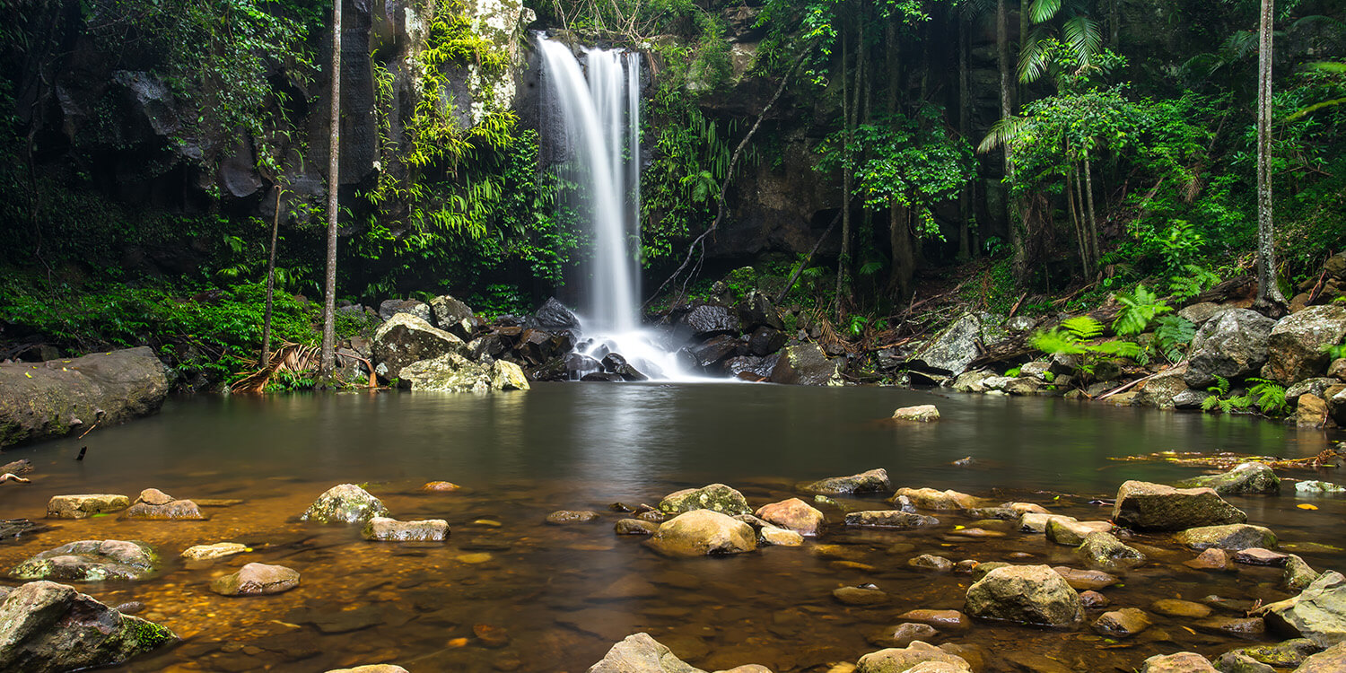 Mystery Picnic - Tamborine Mountain for Guests of Emporium Hotel