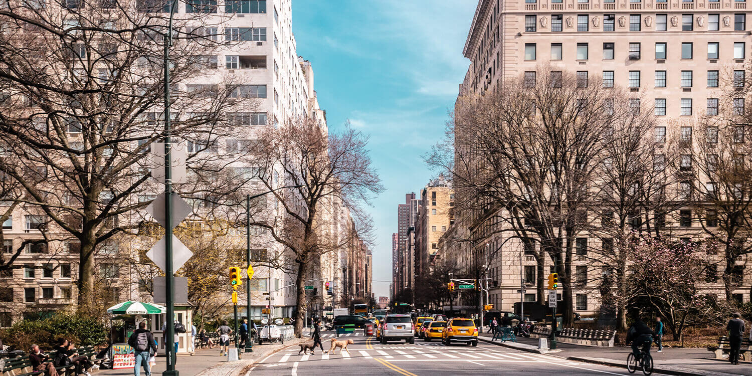 Mystery Picnic Date - Upper East Side