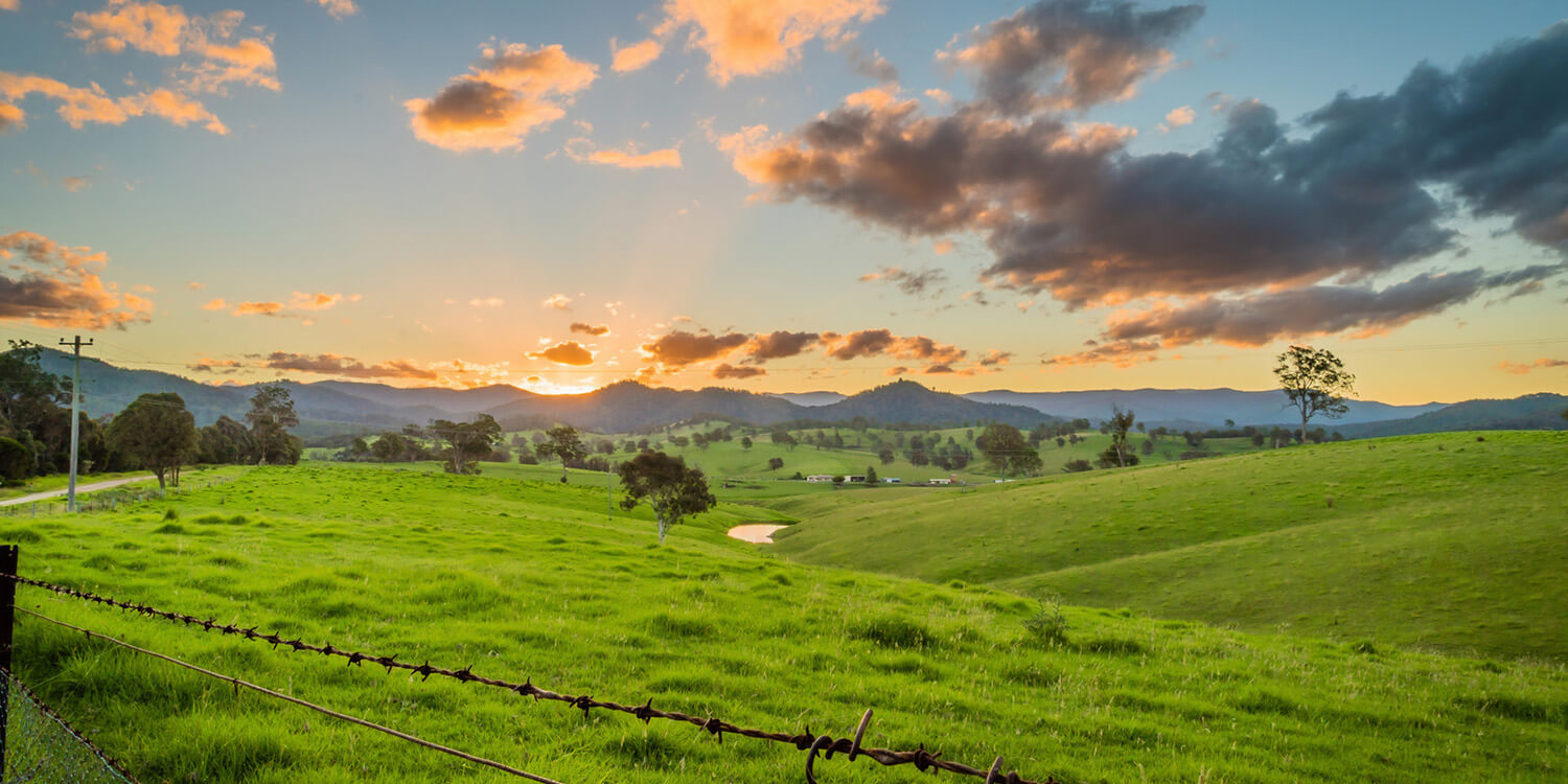 Mystery Picnic Date - Yass Valley